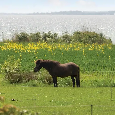 Cozy In Sydals Bredsten (Sonderborg)